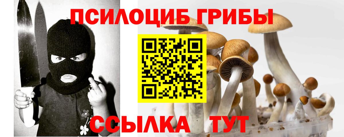 Псилоцибиновые грибы мухоморы  Вход с VPN  купить наркотик  Богданович  Галлюциногенные грибы мицелий 